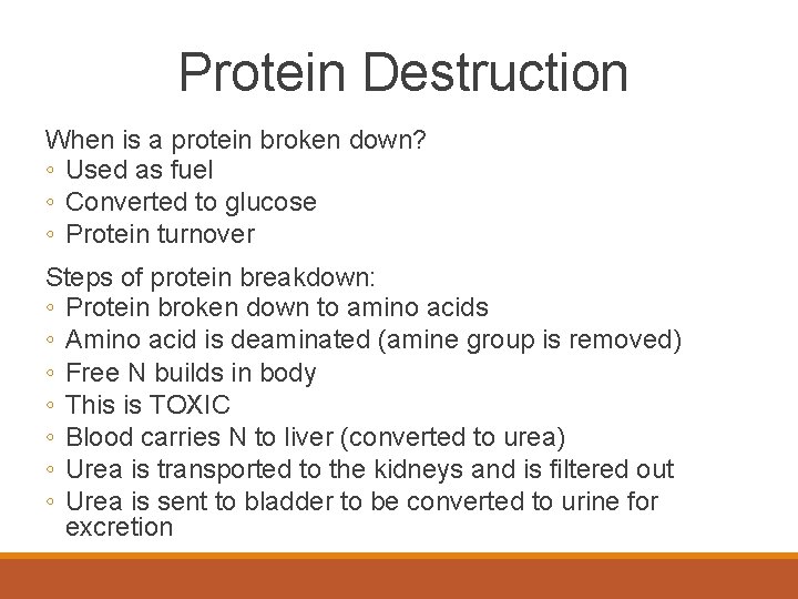 Protein Destruction When is a protein broken down? ◦ Used as fuel ◦ Converted