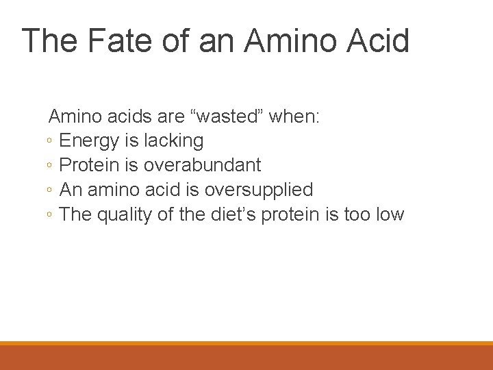 The Fate of an Amino Acid Amino acids are “wasted” when: ◦ Energy is