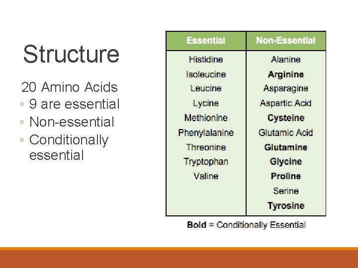 Structure 20 Amino Acids ◦ 9 are essential ◦ Non-essential ◦ Conditionally essential 