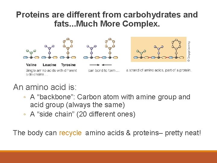 Proteins are different from carbohydrates and fats. . . Much More Complex. An amino