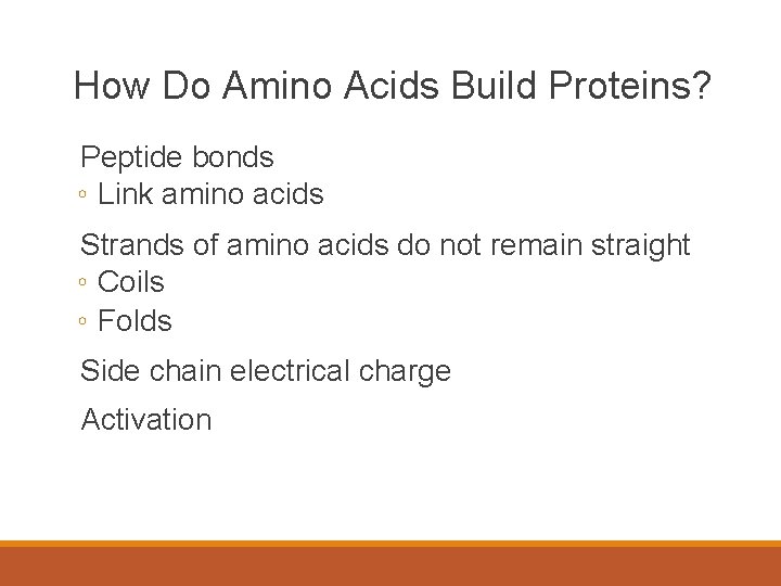 How Do Amino Acids Build Proteins? Peptide bonds ◦ Link amino acids Strands of