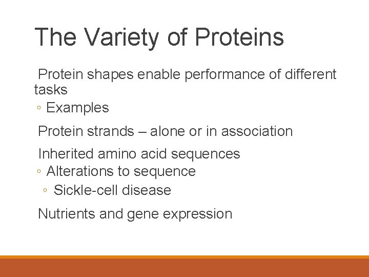 The Variety of Proteins Protein shapes enable performance of different tasks ◦ Examples Protein