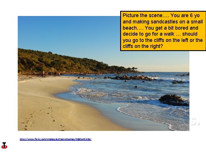 Headlands Picture the scene…. You are 6 yo and making sandcastles on a small