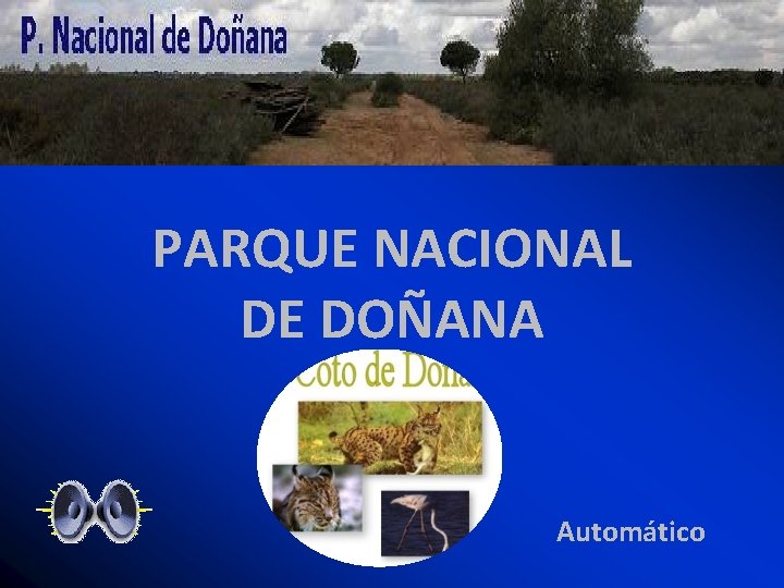 PARQUE NACIONAL DE DOÑANA Automático 