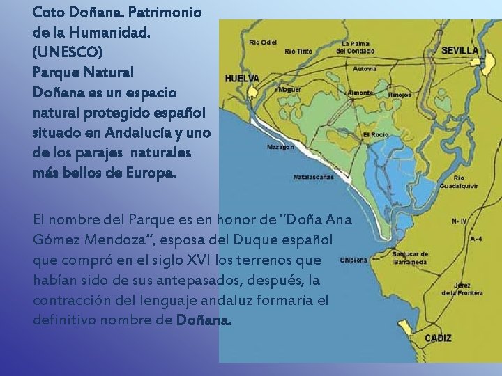 Coto Doñana. Patrimonio de la Humanidad. (UNESCO) Parque Natural Doñana es un espacio natural