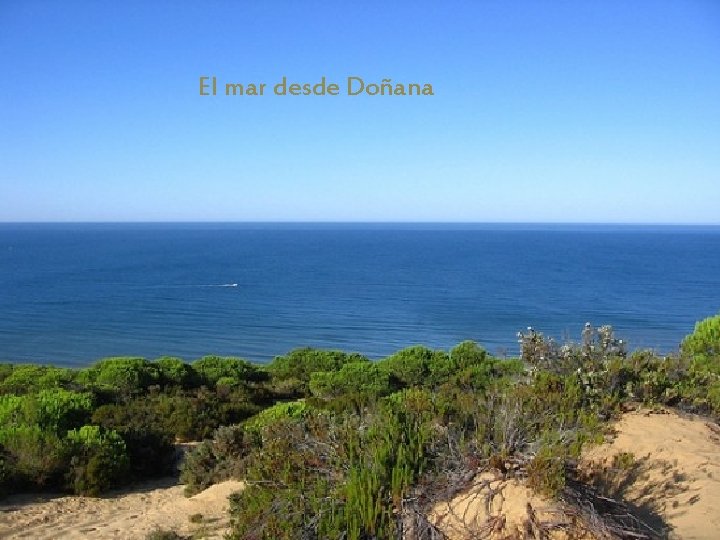 El mar desde Doñana 