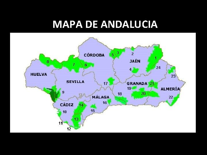 MAPA DE ANDALUCIA 