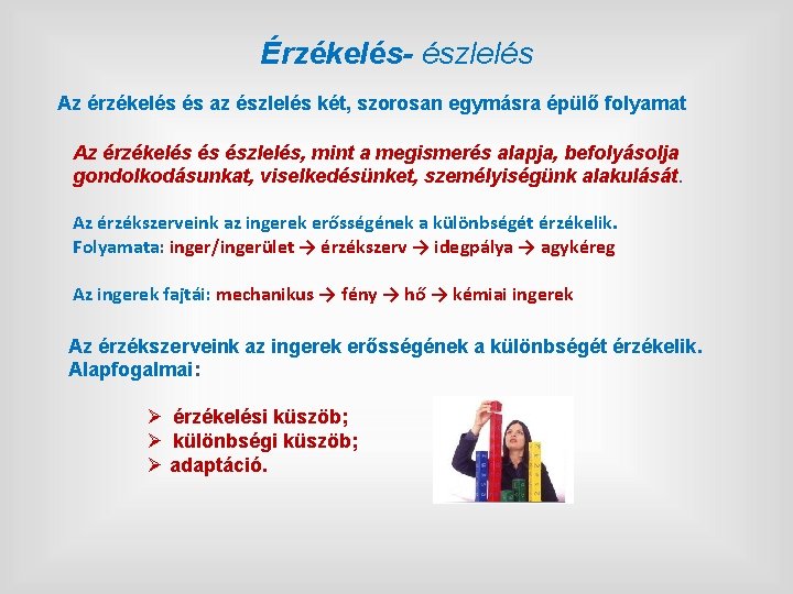 Érzékelés- észlelés Az érzékelés és az észlelés két, szorosan egymásra épülő folyamat Az érzékelés