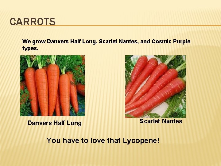 CARROTS We grow Danvers Half Long, Scarlet Nantes, and Cosmic Purple types. Danvers Half