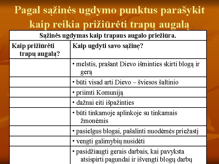 Pagal sąžinės ugdymo punktus parašykit kaip reikia prižiūrėti trapų augalą Sąžinės ugdymas kaip trapaus