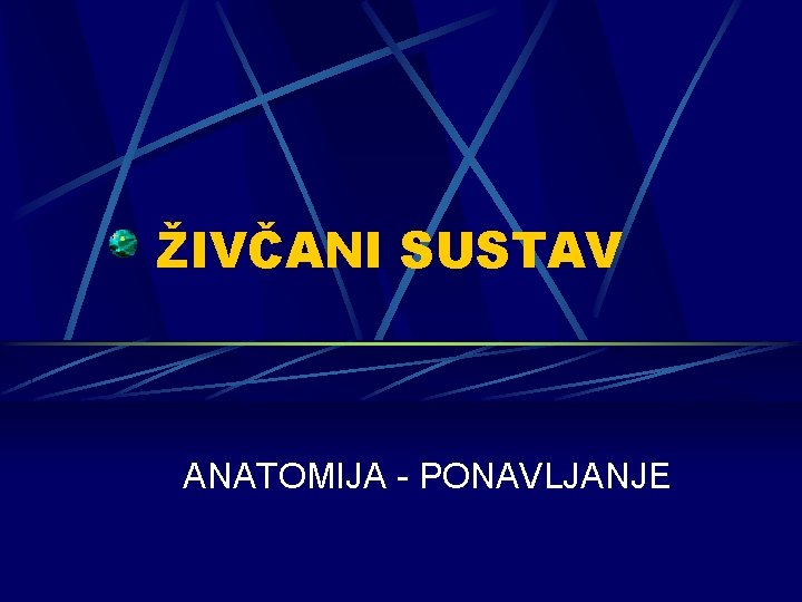 ŽIVČANI SUSTAV ANATOMIJA - PONAVLJANJE 