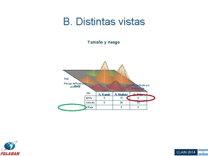 B. Distintas vistas Tamaño y riesgo Bajo Riesgo definido por Medio auditoría Tamaño definido