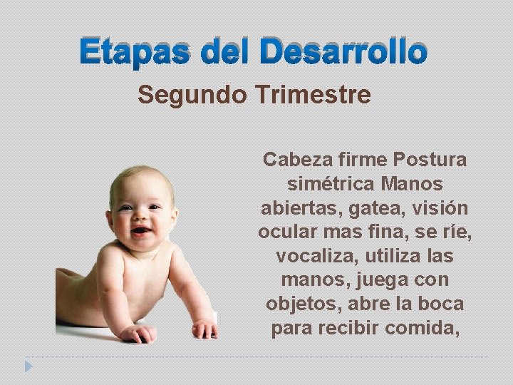 Etapas del Desarrollo Segundo Trimestre Cabeza firme Postura simétrica Manos abiertas, gatea, visión ocular