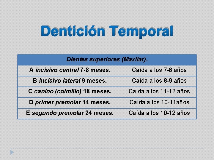 Dentición Temporal Dientes superiores (Maxilar). A incisivo central 7 -8 meses. Caída a los