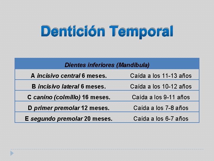 Dentición Temporal Dientes inferiores (Mandíbula) A incisivo central 6 meses. Caída a los 11