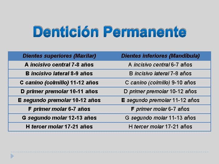 Dentición Permanente Dientes superiores (Maxilar) Dientes inferiores (Mandíbula) A incisivo central 7 -8 años
