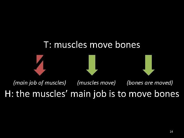 T: muscles move bones (main job of muscles) (muscles move) (bones are moved) H: