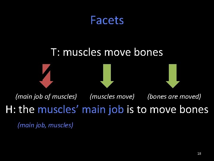 Facets T: muscles move bones (main job of muscles) (muscles move) (bones are moved)