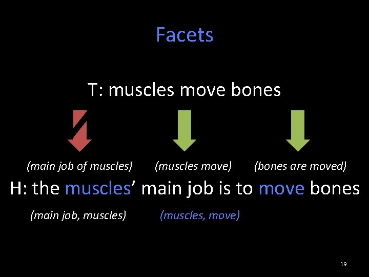 Facets T: muscles move bones (main job of muscles) (muscles move) (bones are moved)