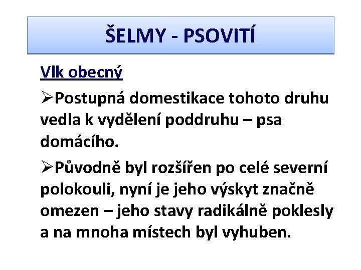 ŠELMY - PSOVITÍ Vlk obecný ØPostupná domestikace tohoto druhu vedla k vydělení poddruhu –