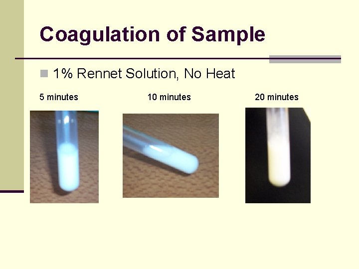 Coagulation of Sample n 1% Rennet Solution, No Heat 5 minutes 10 minutes 20