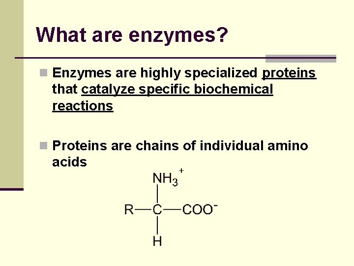 What are enzymes? n Enzymes are highly specialized proteins that catalyze specific biochemical reactions