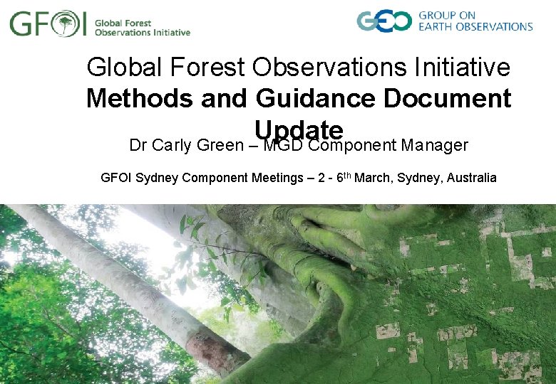 Global Forest Observations Initiative Methods and Guidance Document Update Dr Carly Green – MGD