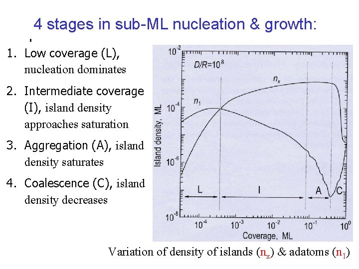 4 stages in sub-ML nucleation & growth: 1. Low coverage (L), nucleation dominates 2.
