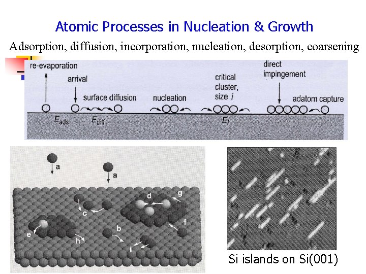 Atomic Processes in Nucleation & Growth Adsorption, diffusion, incorporation, nucleation, desorption, coarsening Si islands