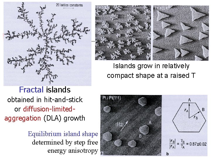 Islands grow in relatively compact shape at a raised T Fractal islands obtained in