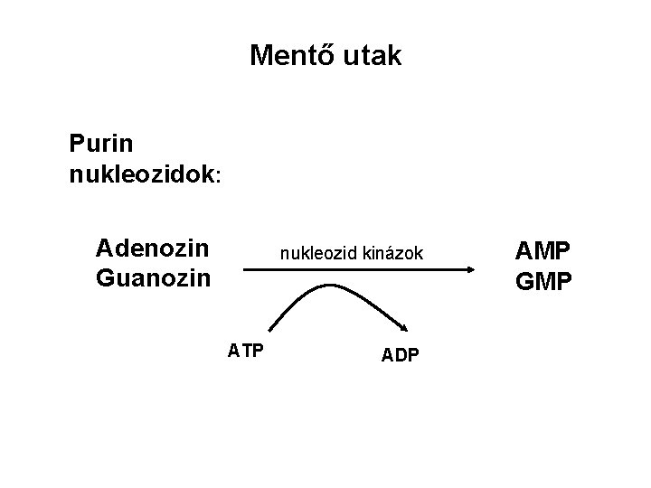 Mentő utak Purin nukleozidok: Adenozin Guanozin nukleozid kinázok ATP ADP AMP GMP 