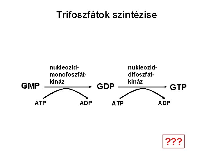 Trifoszfátok szintézise GMP ATP nukleozidmonofoszfátkináz ADP GDP ATP nukleoziddifoszfátkináz GTP ADP ? ? ?