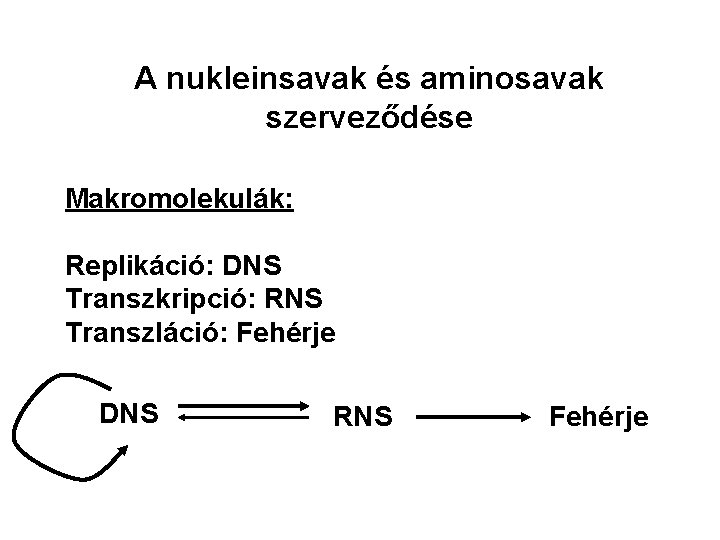 A nukleinsavak és aminosavak szerveződése Makromolekulák: Replikáció: DNS Transzkripció: RNS Transzláció: Fehérje DNS RNS
