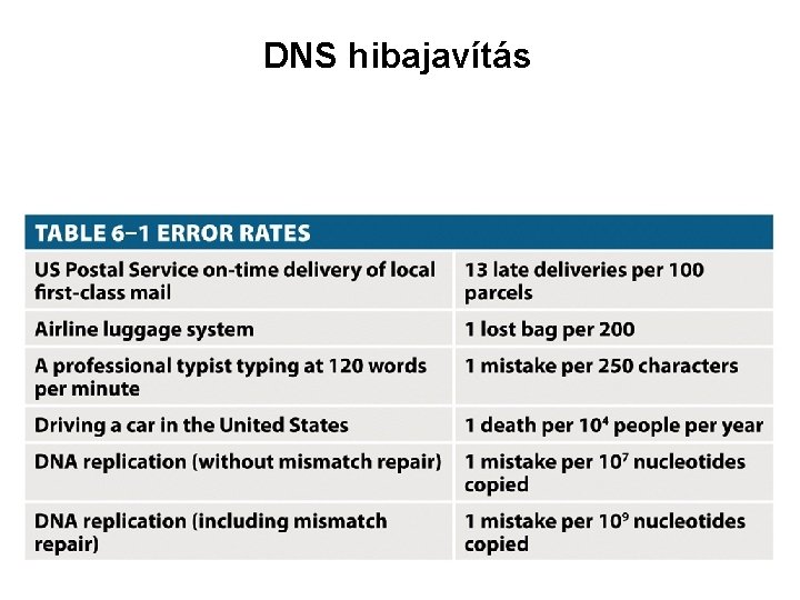 DNS hibajavítás 