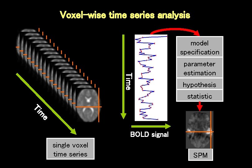 Voxel-wise time series analysis model specification Time parameter estimation hypothesis statistic e m Ti