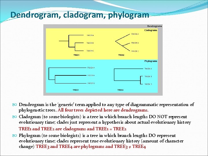 Dendrogram, cladogram, phylogram Dendrogram is the ‘generic’ term applied to any type of diagrammatic