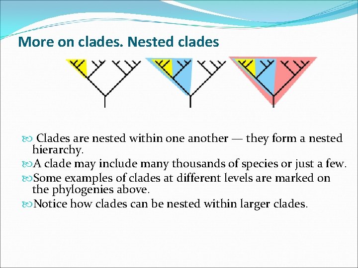 More on clades. Nested clades Clades are nested within one another — they form