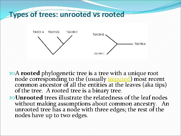 Types of trees: unrooted vs rooted A rooted phylogenetic tree is a tree with