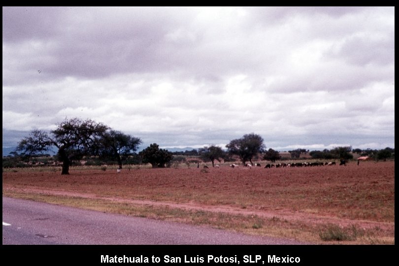 Matehuala to San Luis Potosi, SLP, Mexico 