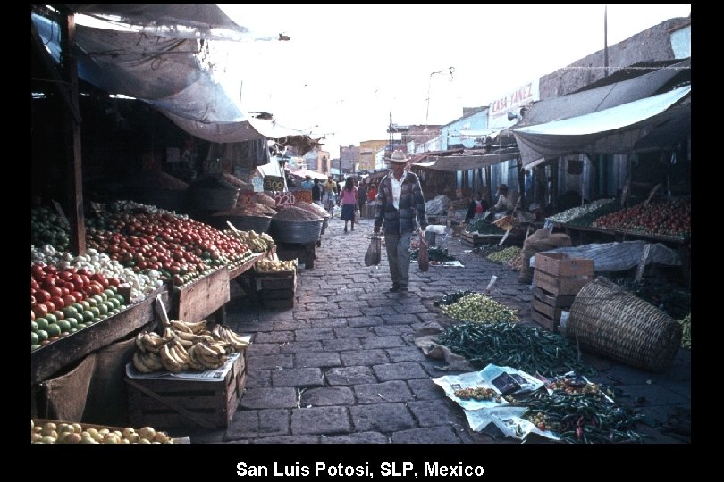 San Luis Potosi, SLP, Mexico 