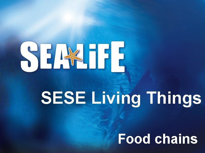 SESE Living Things Food chains 