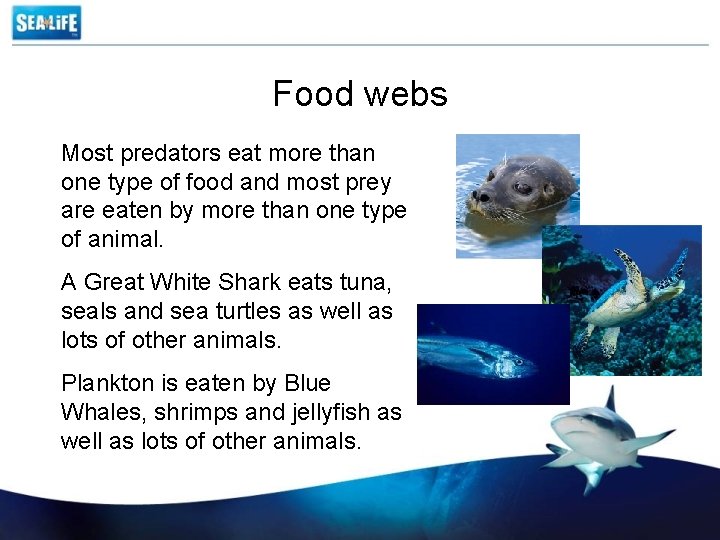 Food webs Most predators eat more than one type of food and most prey