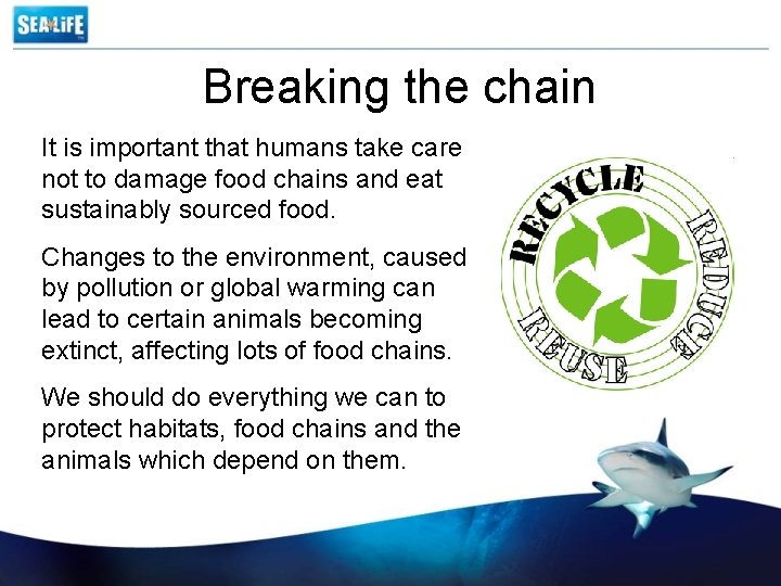 Breaking the chain It is important that humans take care not to damage food