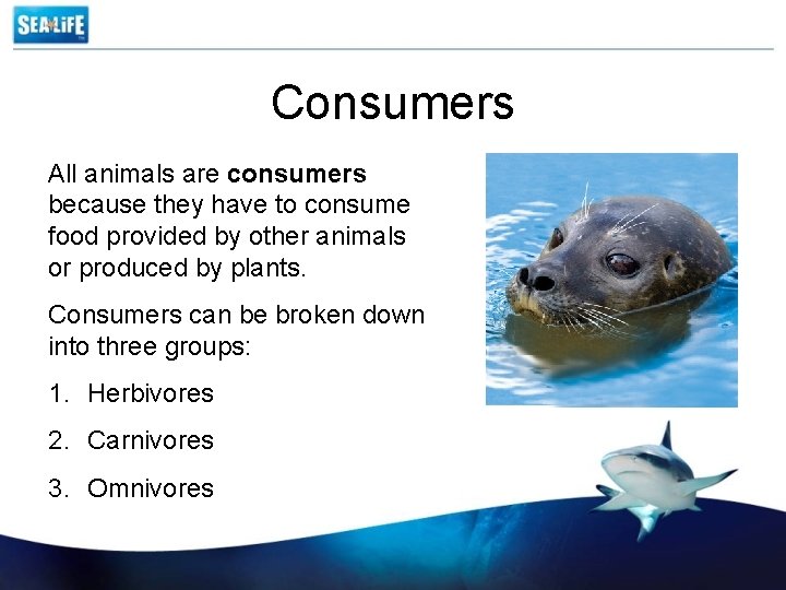 Consumers All animals are consumers because they have to consume food provided by other