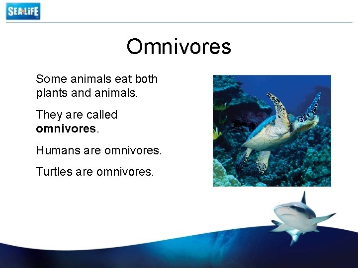 Omnivores Some animals eat both plants and animals. They are called omnivores. Humans are