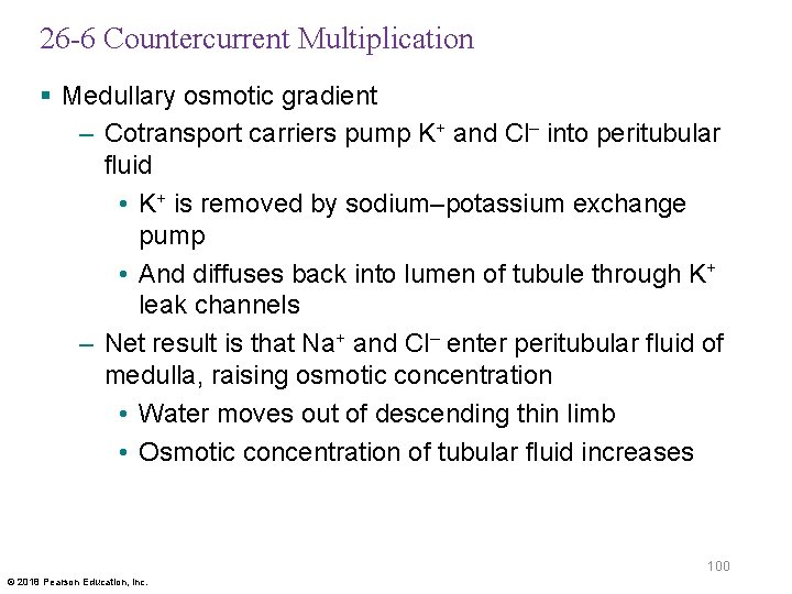 26 -6 Countercurrent Multiplication § Medullary osmotic gradient – Cotransport carriers pump K+ and