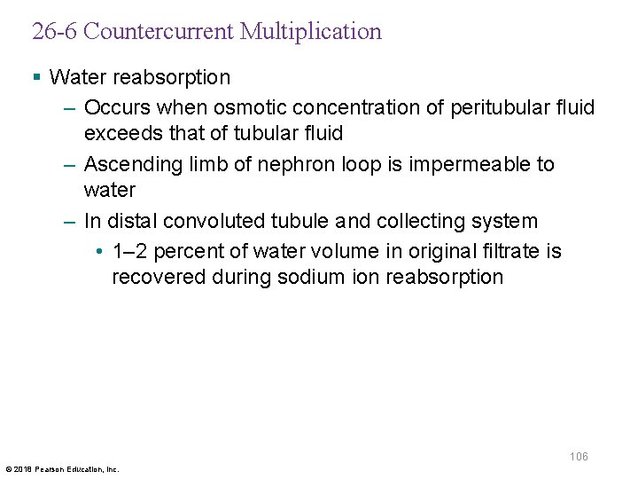 26 -6 Countercurrent Multiplication § Water reabsorption – Occurs when osmotic concentration of peritubular