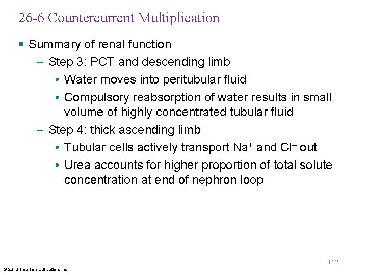 26 -6 Countercurrent Multiplication § Summary of renal function – Step 3: PCT and