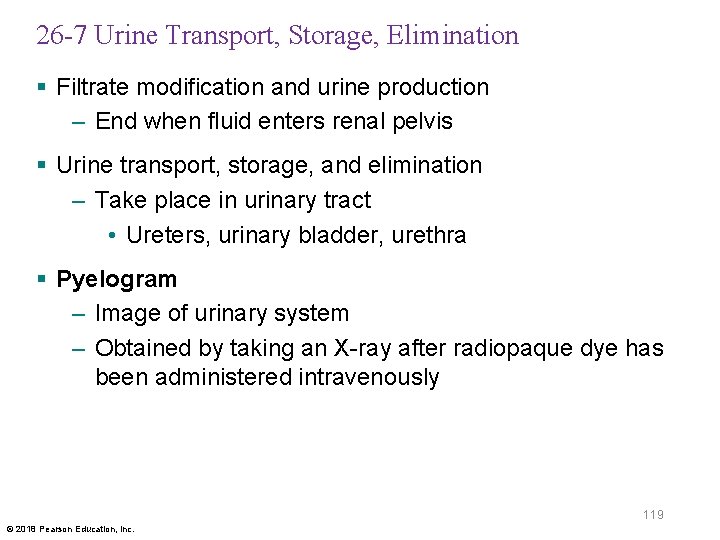 26 -7 Urine Transport, Storage, Elimination § Filtrate modification and urine production – End