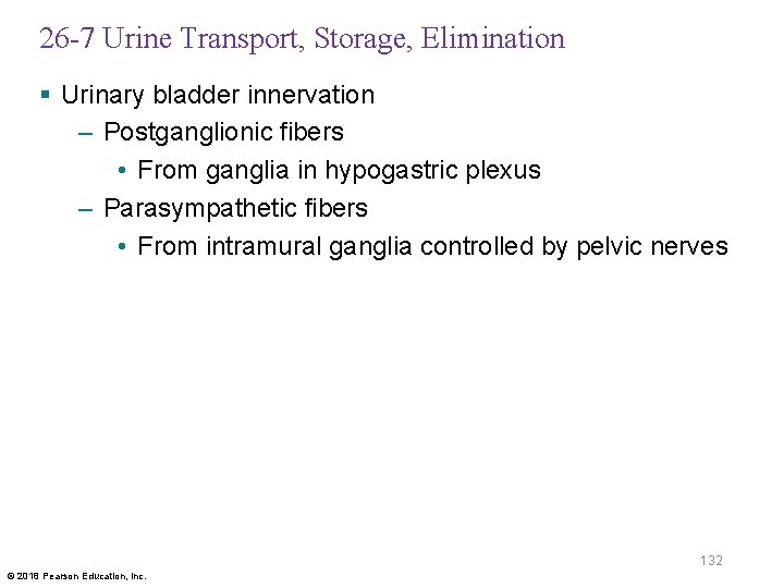 26 -7 Urine Transport, Storage, Elimination § Urinary bladder innervation – Postganglionic fibers •